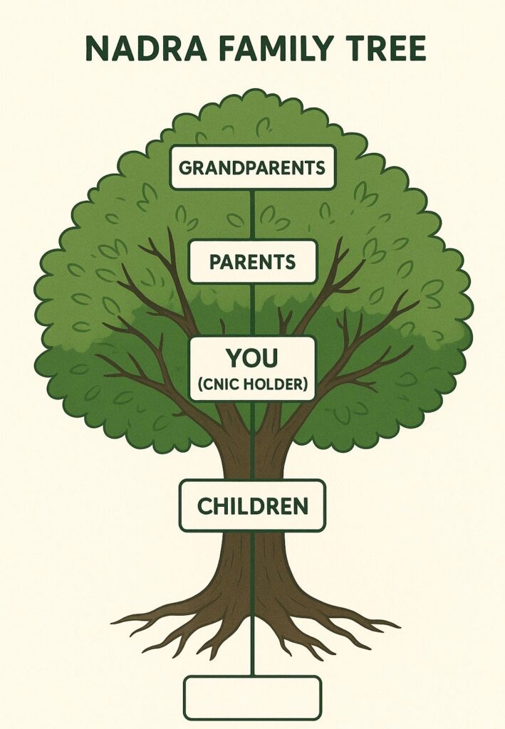 How to Get Your NADRA Family Tree? 1 Nadra Family Tree